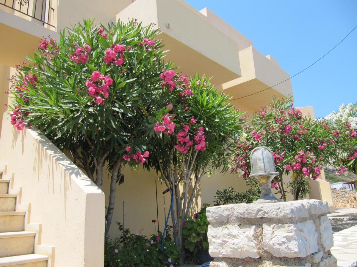 Eugenia travasarou sea view appartments Diakofti Esterno foto